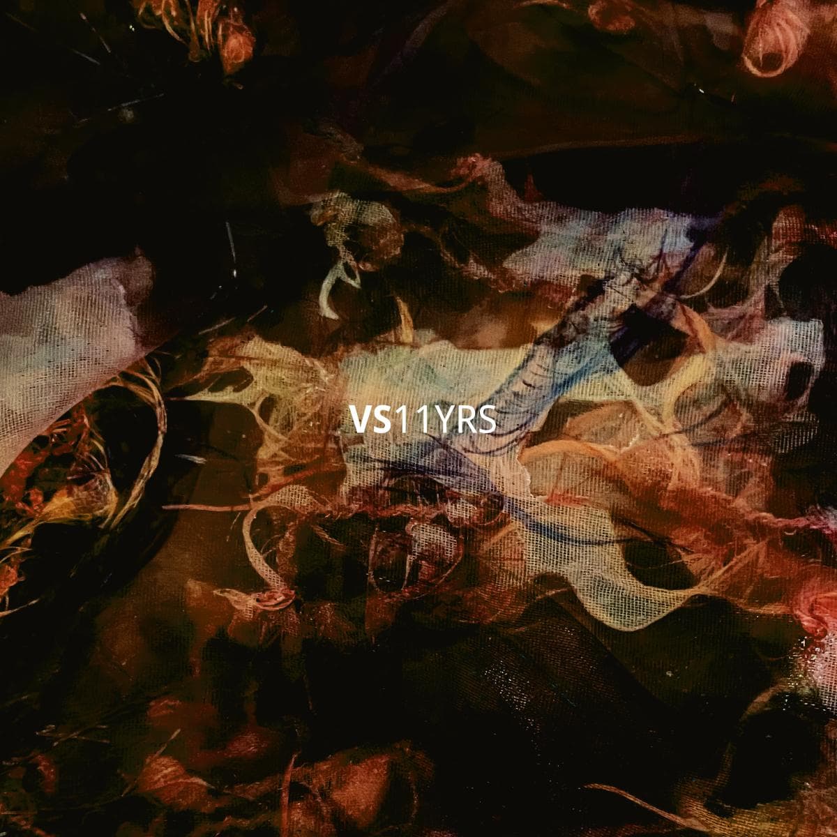 Vault Sessions 11 Years 5x12"