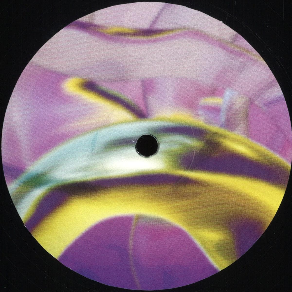 Echoes Of The Infinite