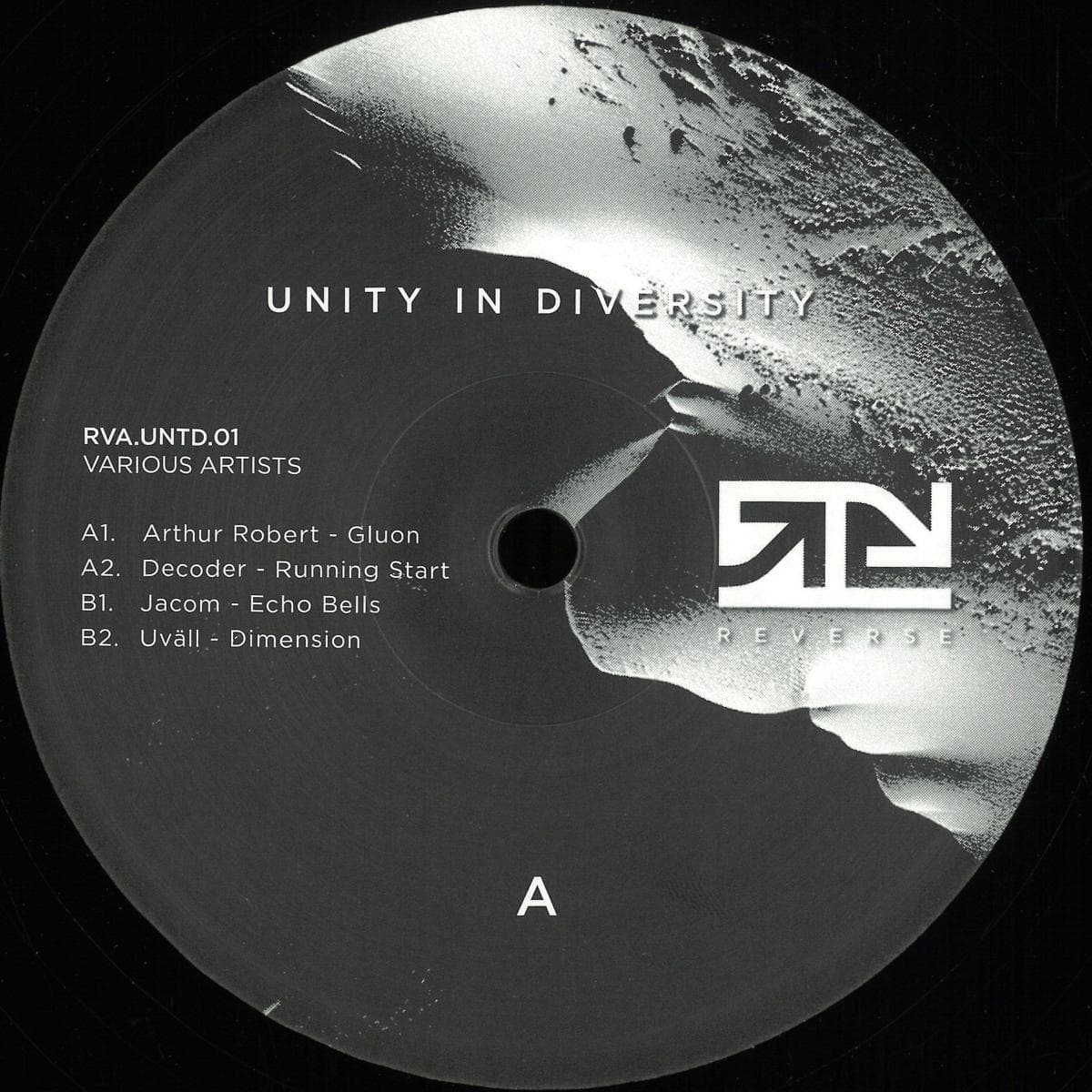 Unity In Diversity 01