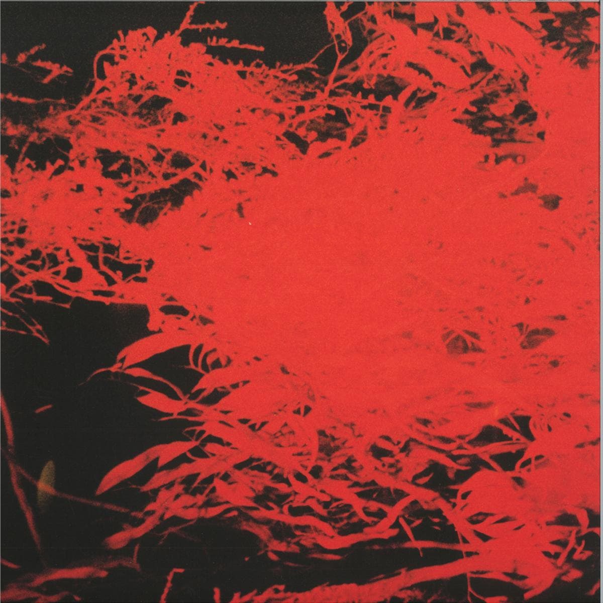 In Studio Magic (LP)