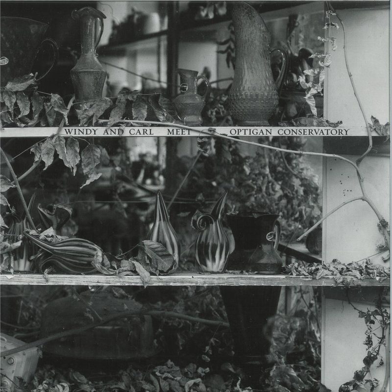 Windy, Carl With Optigan Conservatory — Windy & Carl Meet Optigan Conservatory LP