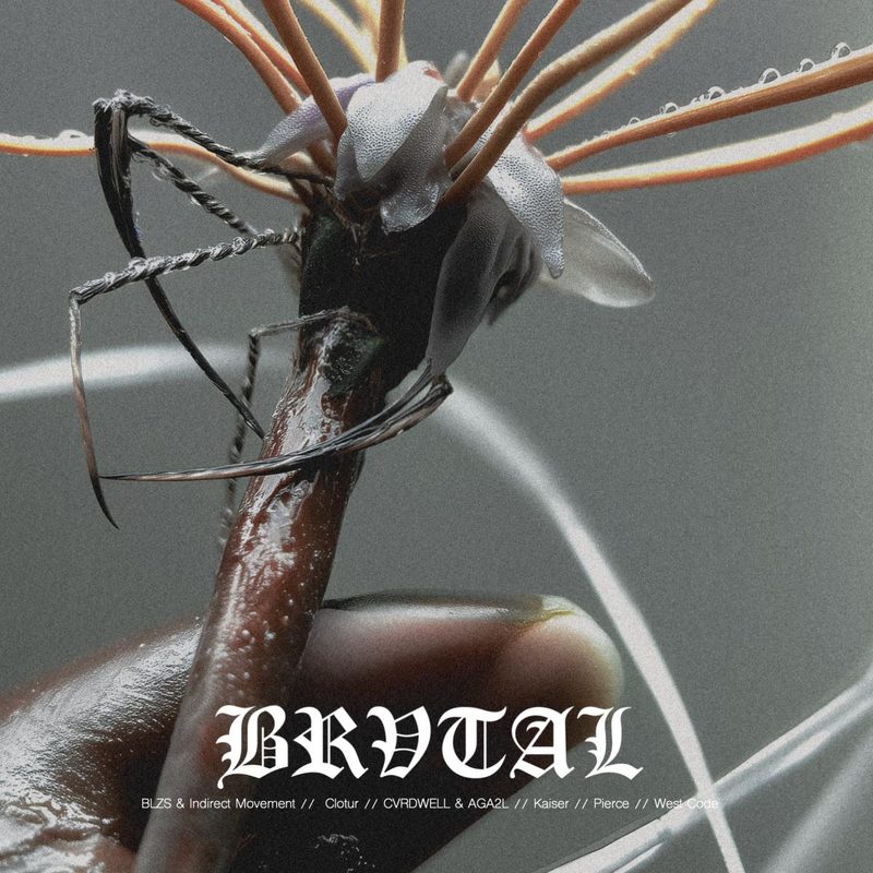 Various — BRVOO08