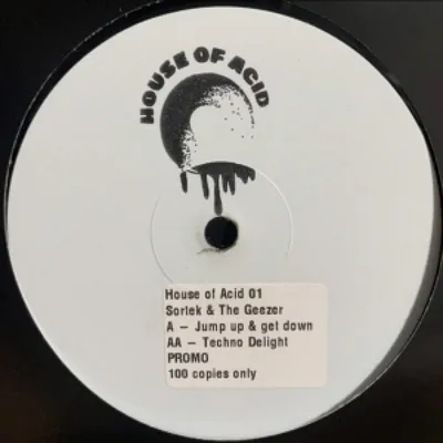 Sortek, The Geezer — Jump Up & Get Down vinyl cover