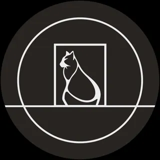 Particle Audio