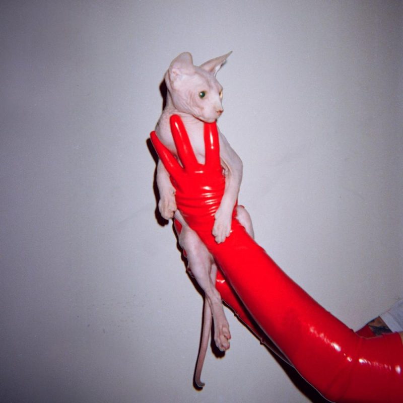 Years of Denial — Suicide Disco Vol. 3 (LP 2x12")