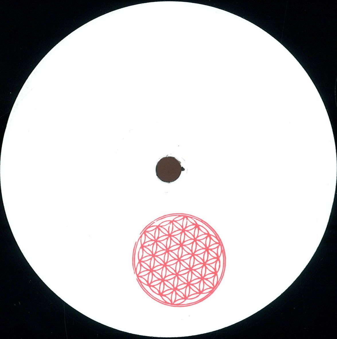 Skee Mask — Serum vinyl cover