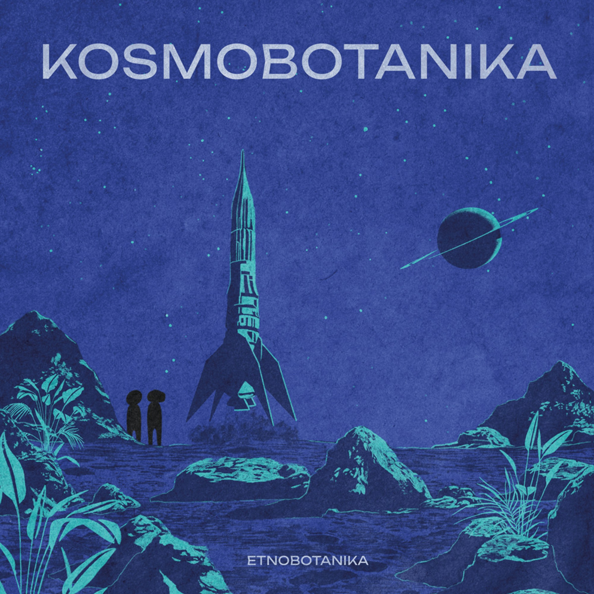 Etnobotanika — KOSMOBOTANIKA LP vinyl cover