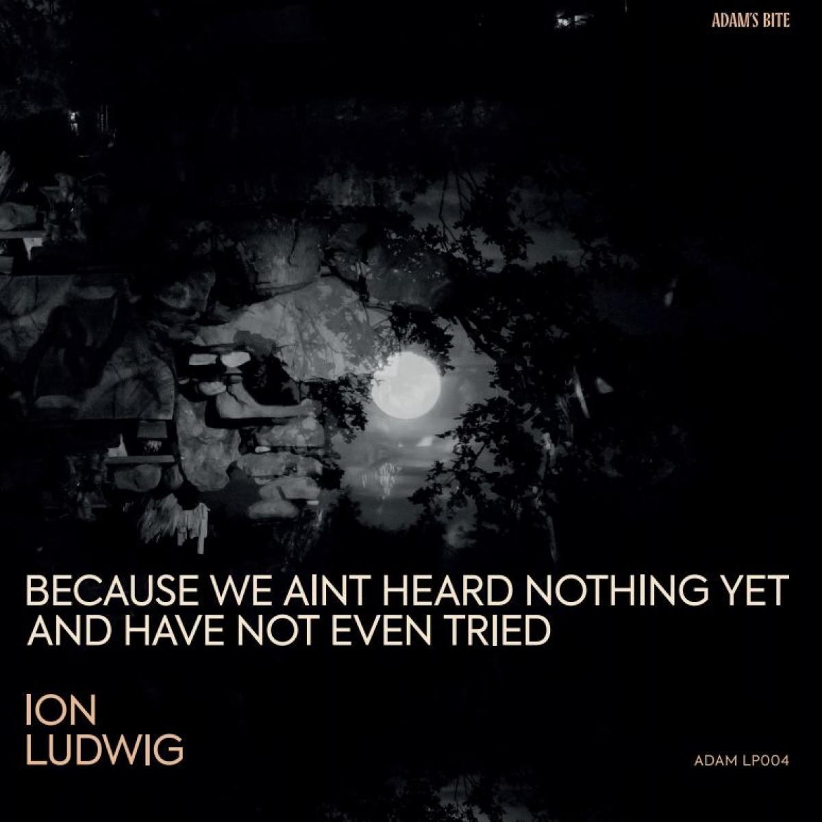 Ion Ludwig — Because We Aint Heard Nothing Yet And Have Not Even Tried 3x12" vinyl cover