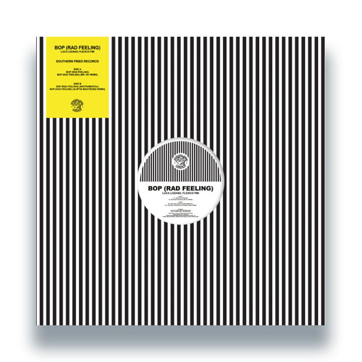 Fatboy Slim, The Rolling Stones — Satisfaction Skank | Vinyl 12