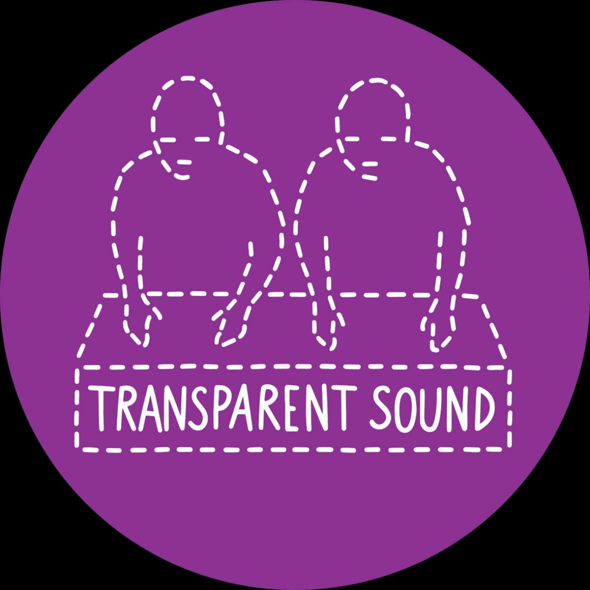 Transparent Sound — No Call From New York vinyl cover