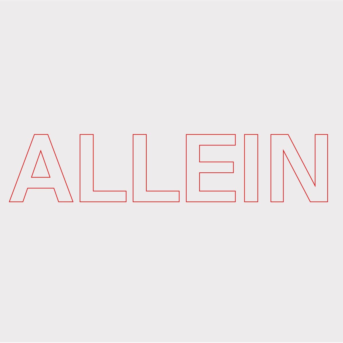 Quarks — Allein vinyl cover