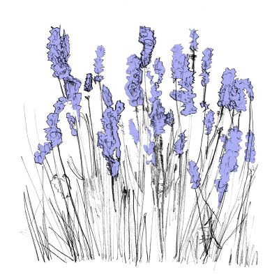 Lapalace — Music To Watch Seeds Grow By 006: Lapalace (Lavender) vinyl cover