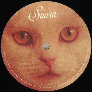 Moby — Suara Remixes vinyl cover