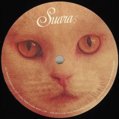 Moby — Suara Remixes vinyl cover