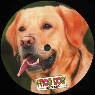 Frog Dog Records