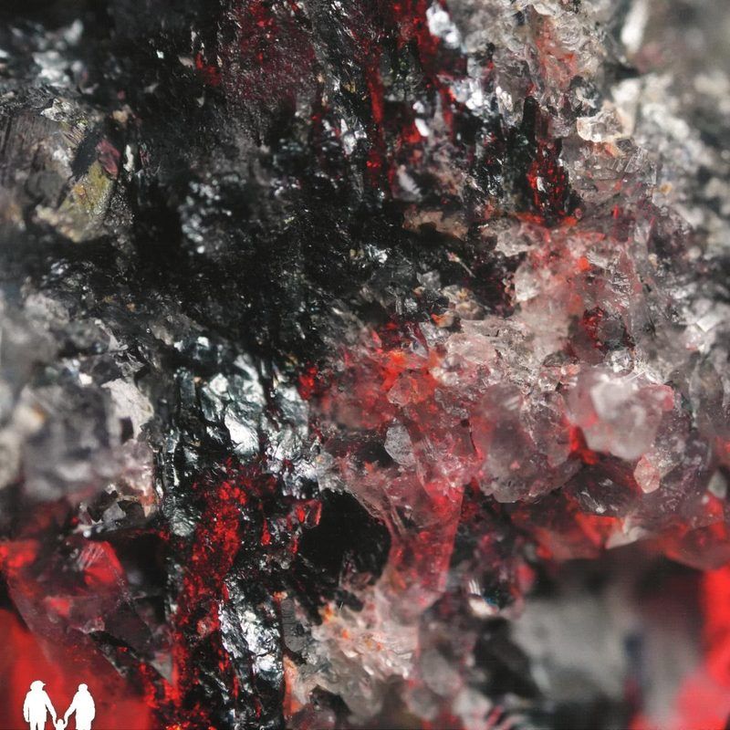 Various — The Me Inside vinyl cover
