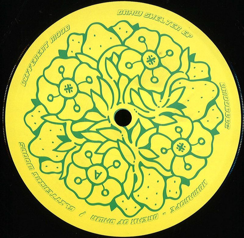 Various — Braw Shelter vinyl cover