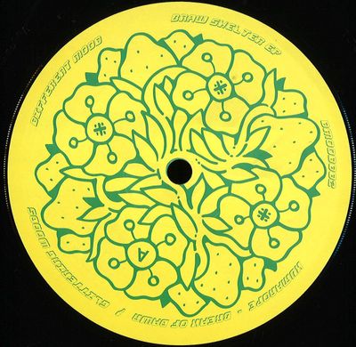 Various — Braw Shelter vinyl cover