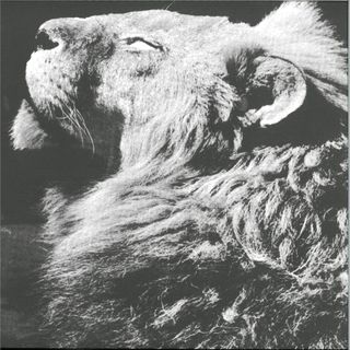 Anthony Naples — El Portal Ep vinyl cover