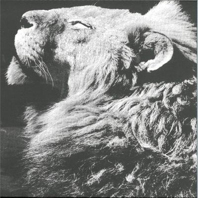 Anthony Naples — El Portal Ep vinyl cover