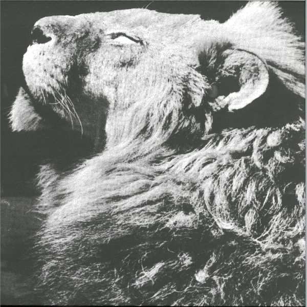 Anthony Naples — El Portal Ep vinyl cover