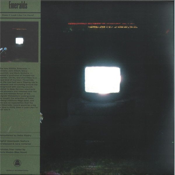 Emeralds — DOES IT LOOK LIKE I'M HERE? LP 2x12" vinyl cover