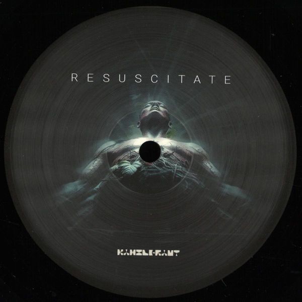 Ray Kajioka, Heiko Laux — Resuscitate vinyl cover