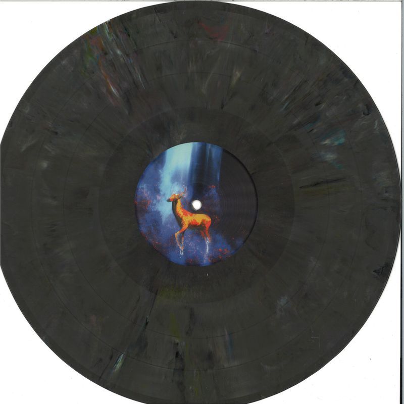 The Angel Code — Dorcas EP vinyl cover