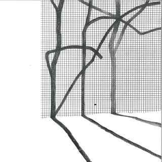 Various — SYSTEMA NATURAE III vinyl cover