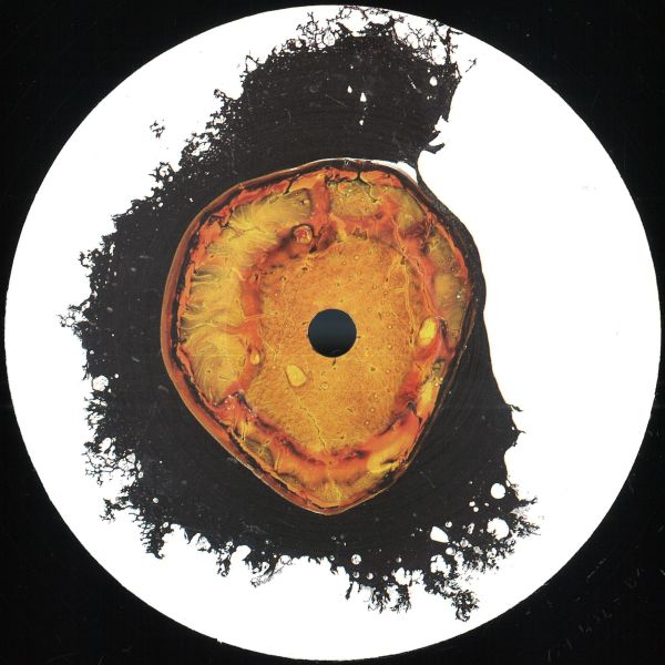 Various — Cut-Line VA001 vinyl cover