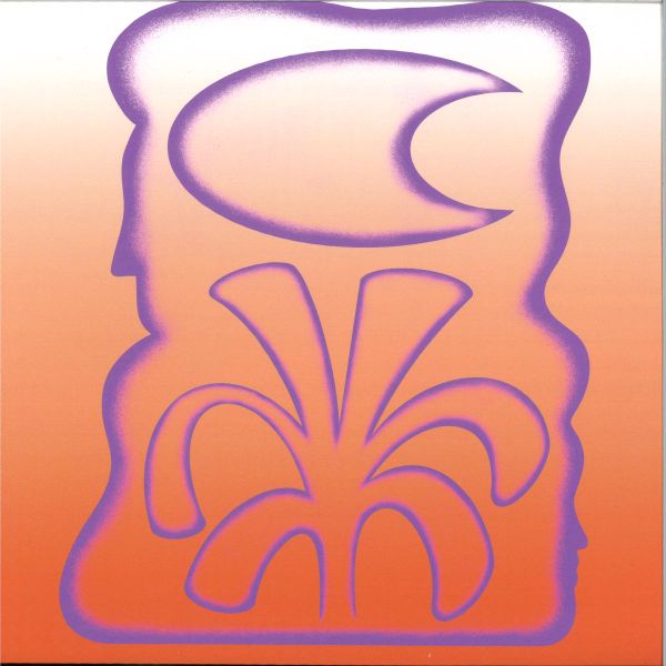 Sebastian Mullaert, Layla Rehana — Solar Paint, and The Melodies in Between LP vinyl cover