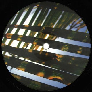 RP — SCHARNHORST007 vinyl cover