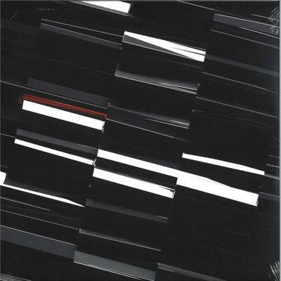 Sdem — VORTICES 2x12" vinyl cover