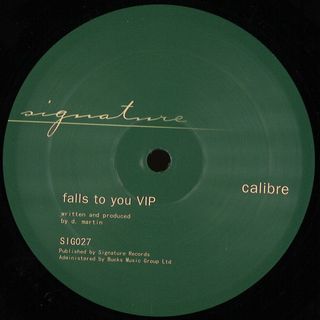 Calibre — Falls To You VIP / End Of Meaning vinyl cover