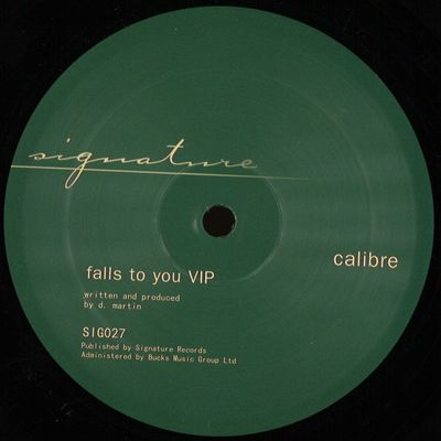 Calibre — Falls To You VIP / End Of Meaning vinyl cover