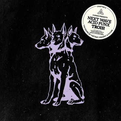 Curses — NEXT WAVE ACID PUNX TROIS - CHAPTER 3 LP 2x12" vinyl cover
