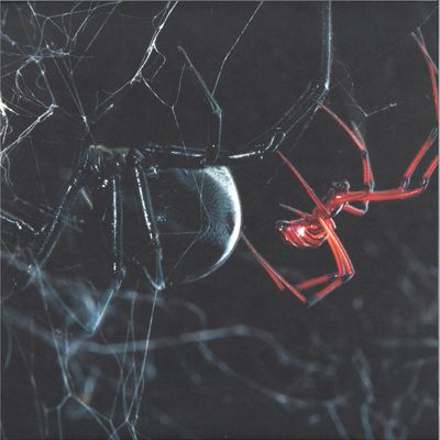 Unknown Artist — Cult Colllective BLK05 vinyl cover