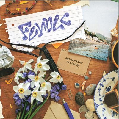 Fennec — Momentary Pleasure vinyl cover