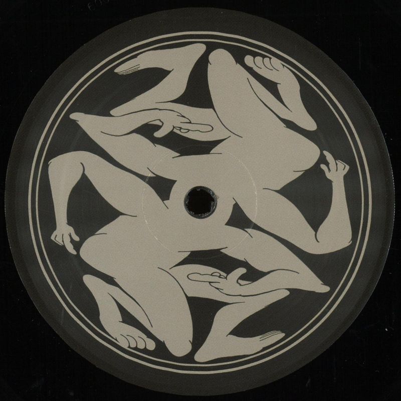 Adam Curtain — Doors of Perception vinyl cover