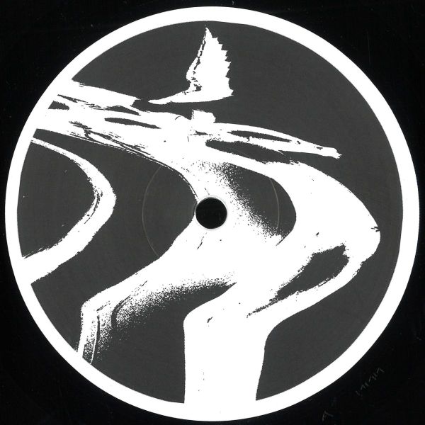 The Chronics — Voices From The Void vinyl cover