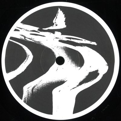The Chronics — Voices From The Void vinyl cover