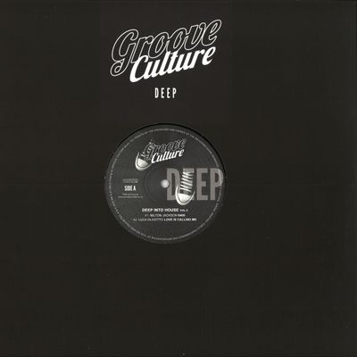 Various — Deep Into House Vol. 2 vinyl cover