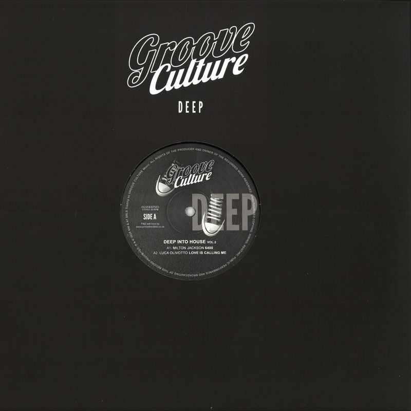 Various — Deep Into House Vol. 2 vinyl cover