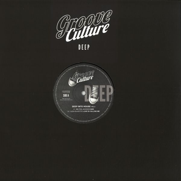 Various — Deep Into House Vol. 2 vinyl cover