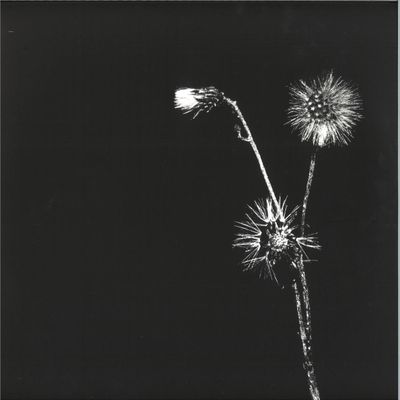 Jon Dasilva, Skyskrapa, Donald Waugh — Sun Brings Joy vinyl cover