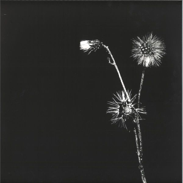 Jon Dasilva, Skyskrapa, Donald Waugh — Sun Brings Joy vinyl cover