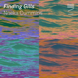 Nneka Cummins — Finding Gills (Tape) vinyl cover