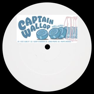 Captain Wallop — Cuz I Like It EP vinyl cover