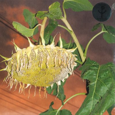 Phatness — Fillerkiller (LP) vinyl cover