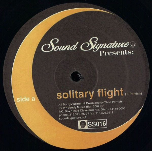 Theo Parrish — Solitary Flight (reissue with live mix) vinyl cover